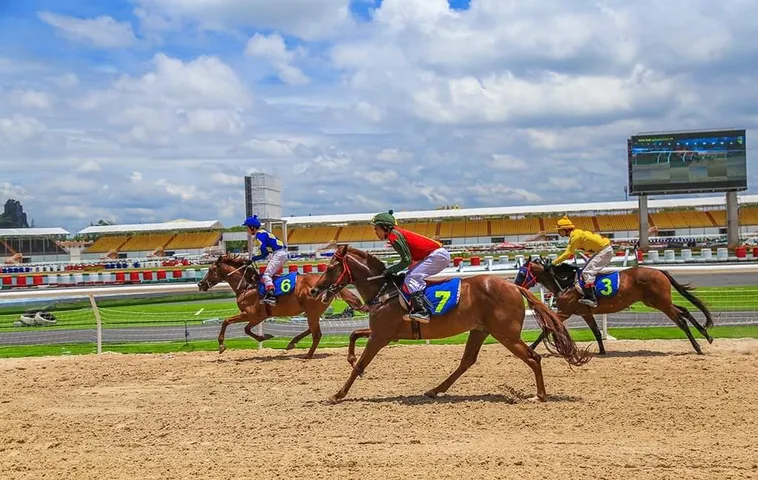 Tìm Hiểu Cá Cược Đua Ngựa Hay88 - Hướng Dẫn Chi Tiết 2 Tìm Hiểu Cá Cược Đua Ngựa Hay88 - Hướng Dẫn Chi Tiết