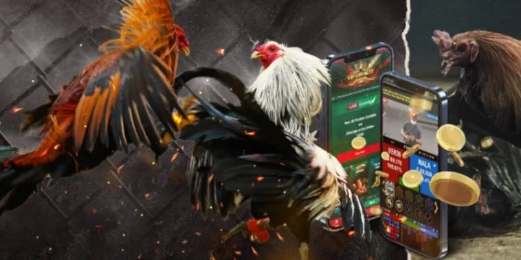 Bí Quyết Chơi Đá Gà GA28 Tại Hay88 Thắng Lớn 2 Bí Quyết Chơi Đá Gà GA28 Tại Hay88 Thắng Lớn