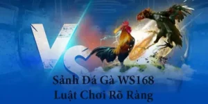 Hướng Dẫn Cách Chơi Đá Gà WS168 Tại Hay88 Hiệu Quả Nhất