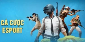 Hướng Dẫn Cách Chơi Thể Thao Điện Tử Tại Hay88 Hiệu Quả